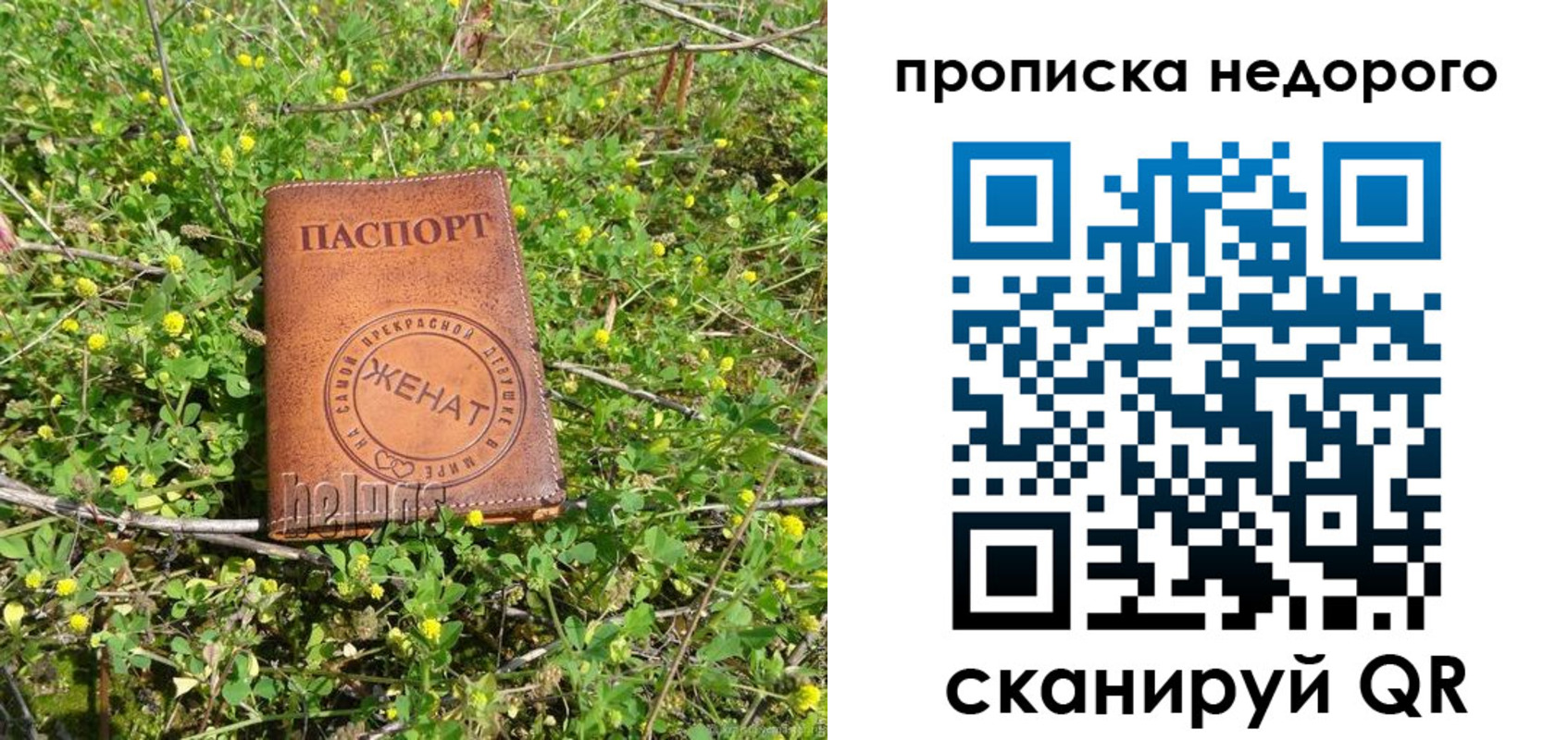регистрация для дет. сада в Невеле